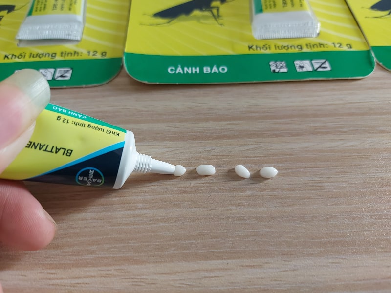 Gel Blattanex diệt gián Đức, Mỹ, gián nhà...Thích hợp nơi ko phun thuốc như nhà hàng,khách sạn...