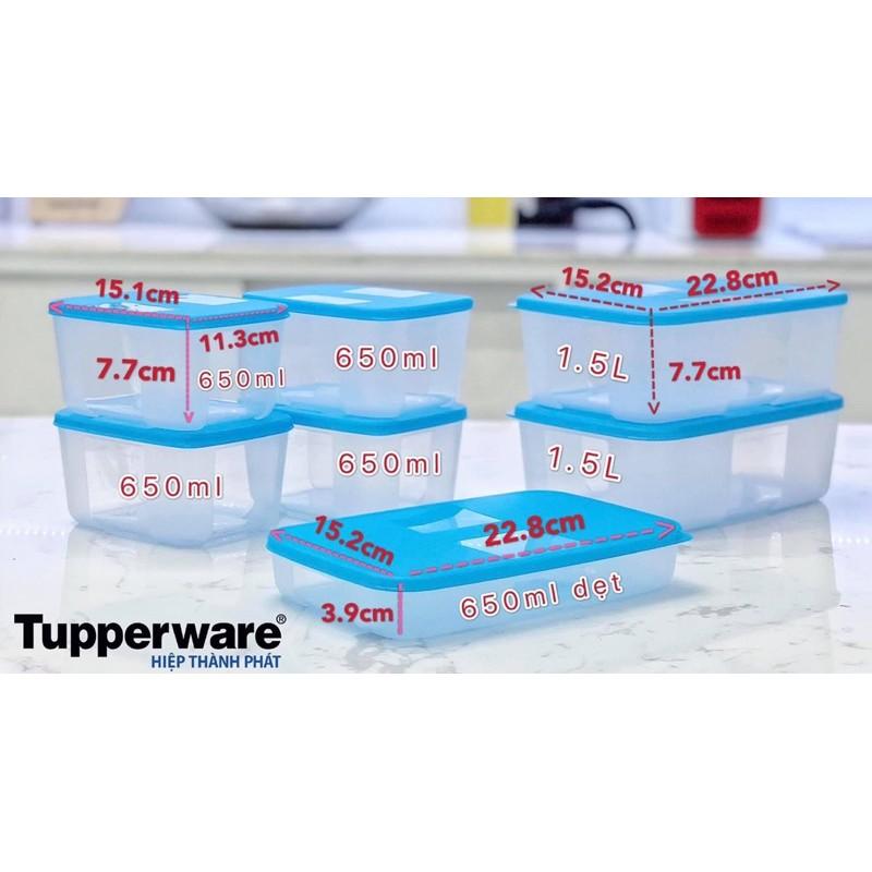 Bộ hộp trữ đông Fit set 7 GIẢM SỐC