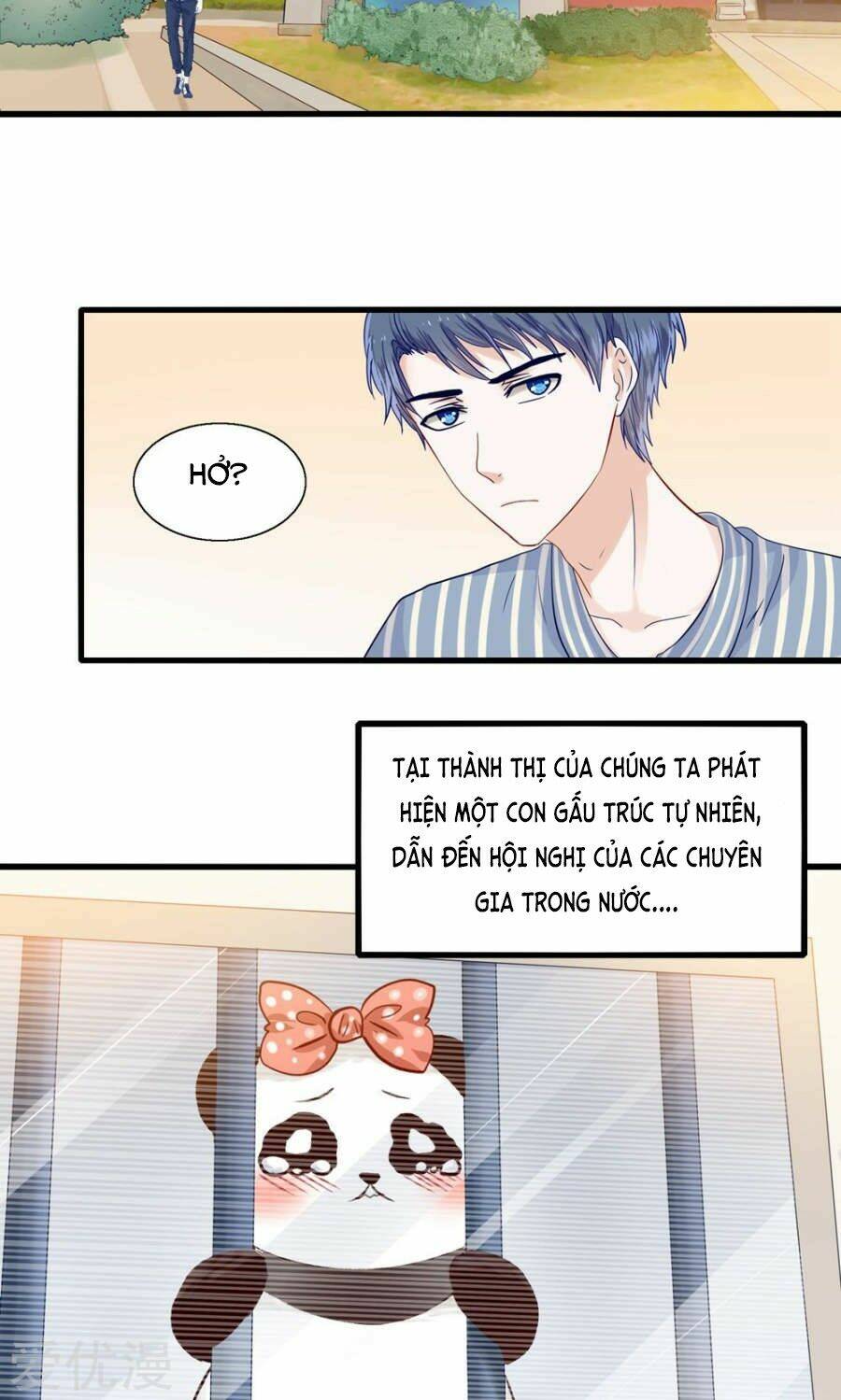 tôi bị gấu trúc nhìn trúng rồi chapter 4 23