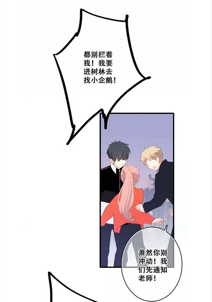 con tim rung động 2 chapter 37.5 11