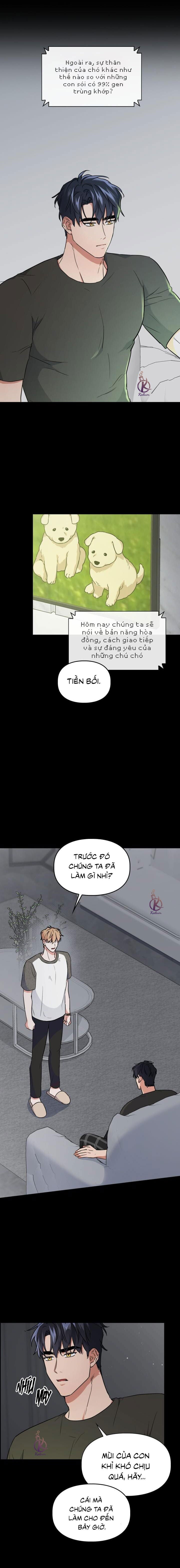 mồi nhử chapter 60 12