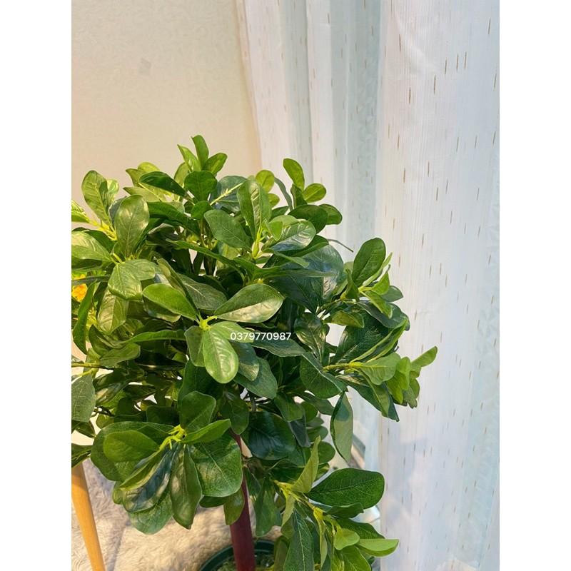Cây hạnh phúc - Cây giả Decor kèm chậu phủ rêu