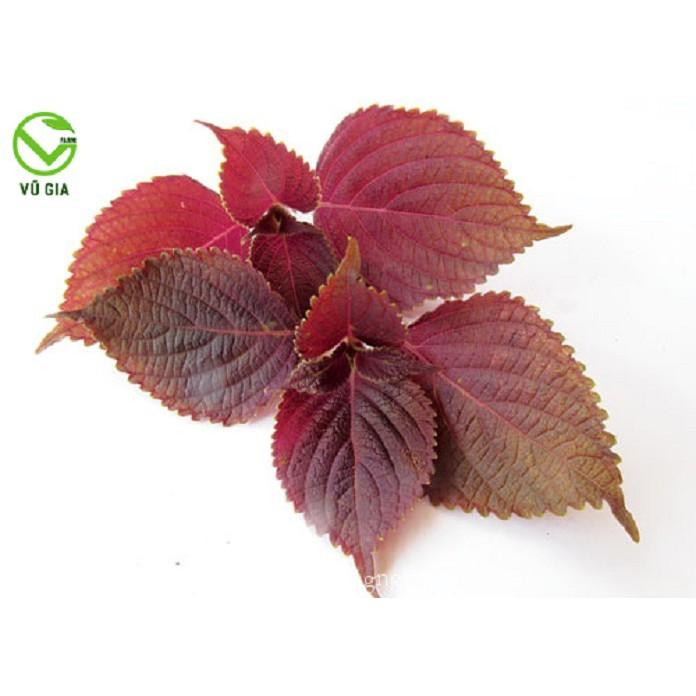 Bột Lá Tía Tô Sấy Lạnh Nguyên Chất Vũ Gia + Tặng 5 Khẩu Trang Y Tế