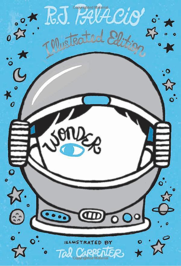 Wonder: Illustrated Edition