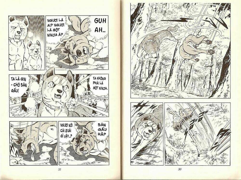 chú chó có nghĩa - ginga nagareboshi gin chapter 19 14