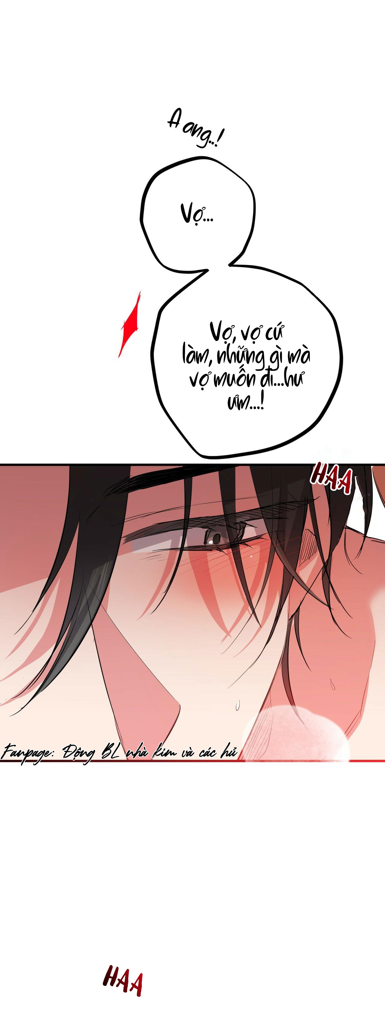 những chú thỏ của hapypy chapter 29 35