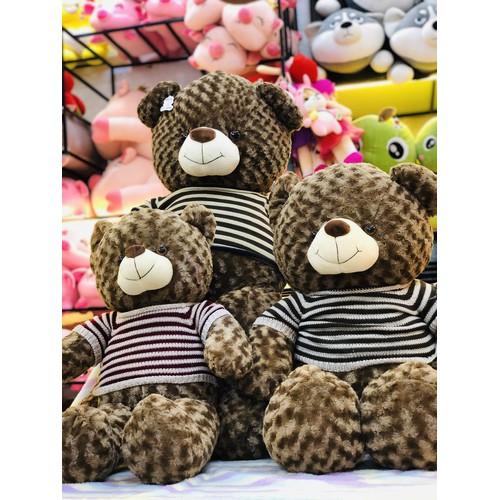 Gấu Bông Teddy Giá Rẻ Cao Cấp Dễ Thương Khổng Lồ