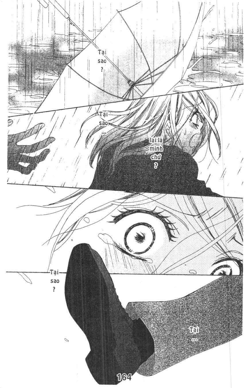 hôn nhân bất đắc dĩ - love of firos you chapter 32 16