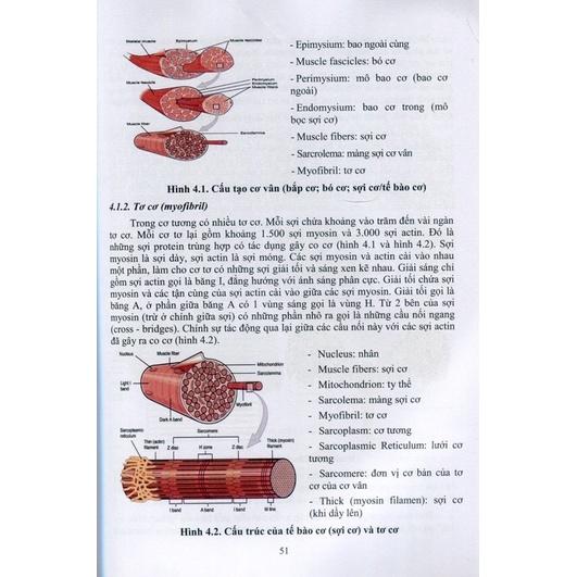 Sách - Điện trị liệu lâm sàng