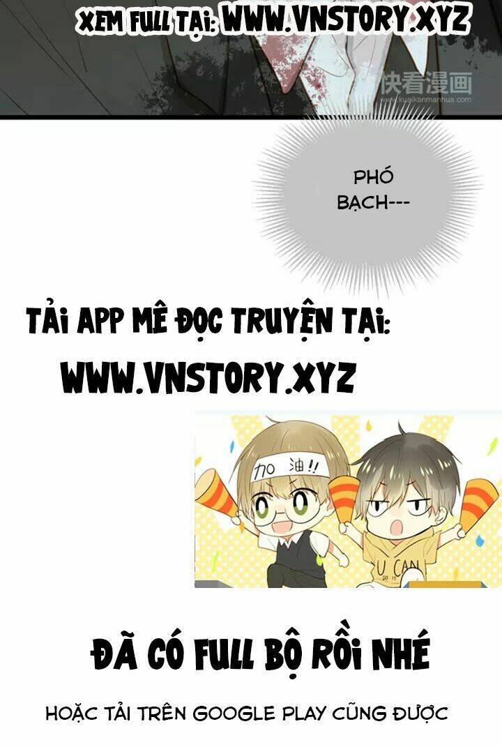 điều giáo quan hệ chapter 26 29