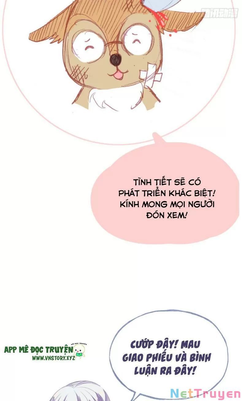 lại bị bệnh chiều chuộng quấn lấy chapter 12 62