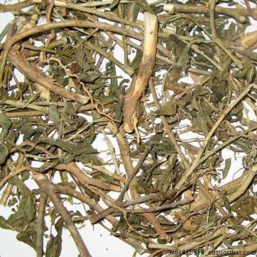 KV - Dừa cạn khô sp0