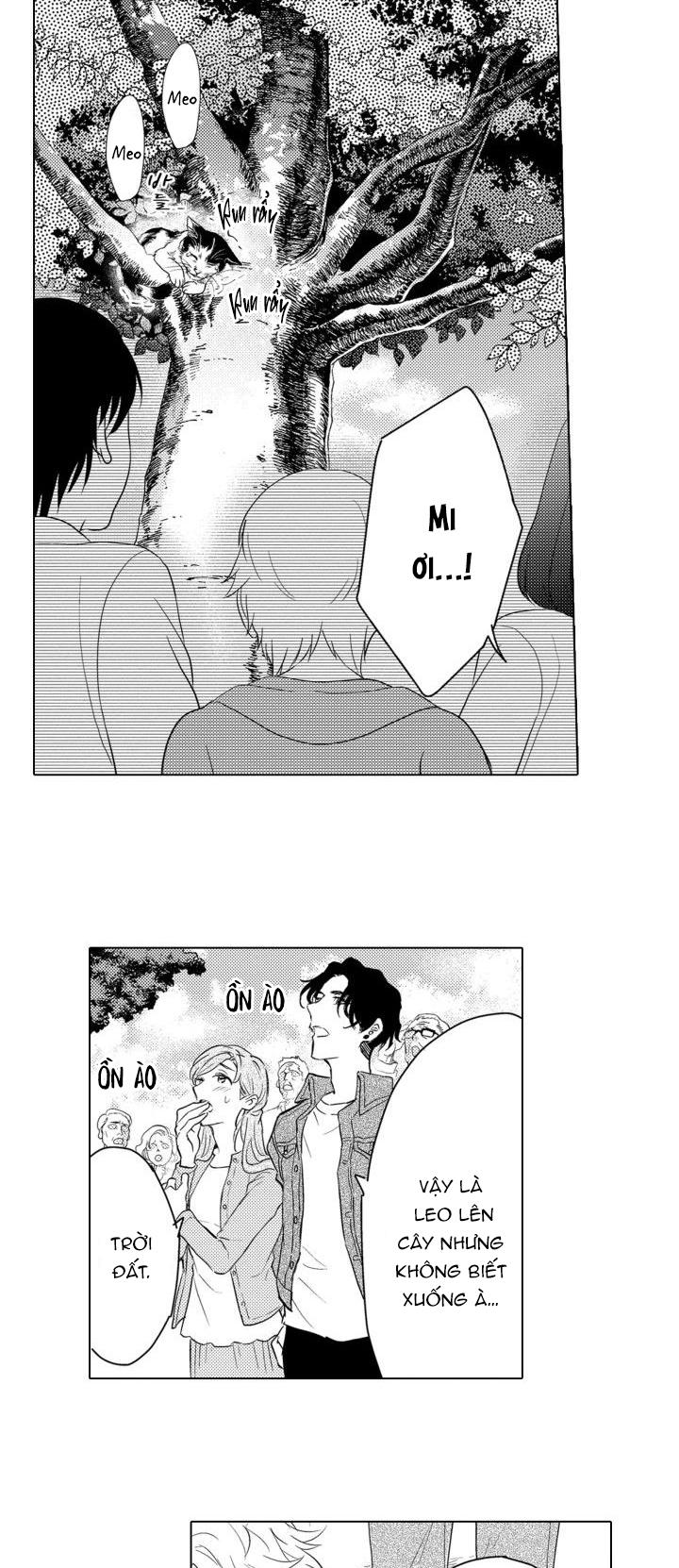 hiyoko-chan to harinezumi-kun chapter 2 2