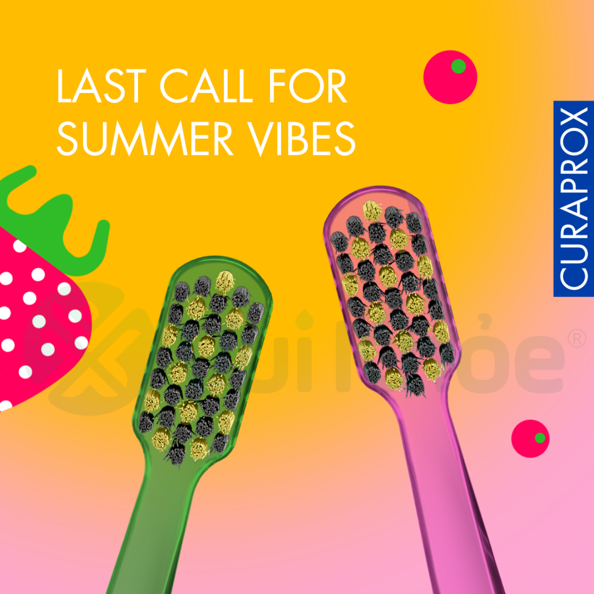 CURAPROX SUMMER EDITION 2025 | Bộ Bàn chải đánh răng CS 5460 Ultra Soft | Mã SP 73327993