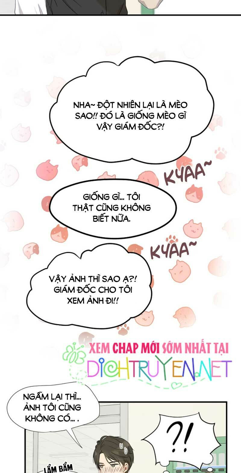 cuộc sống kỳ thú chapter 3 17