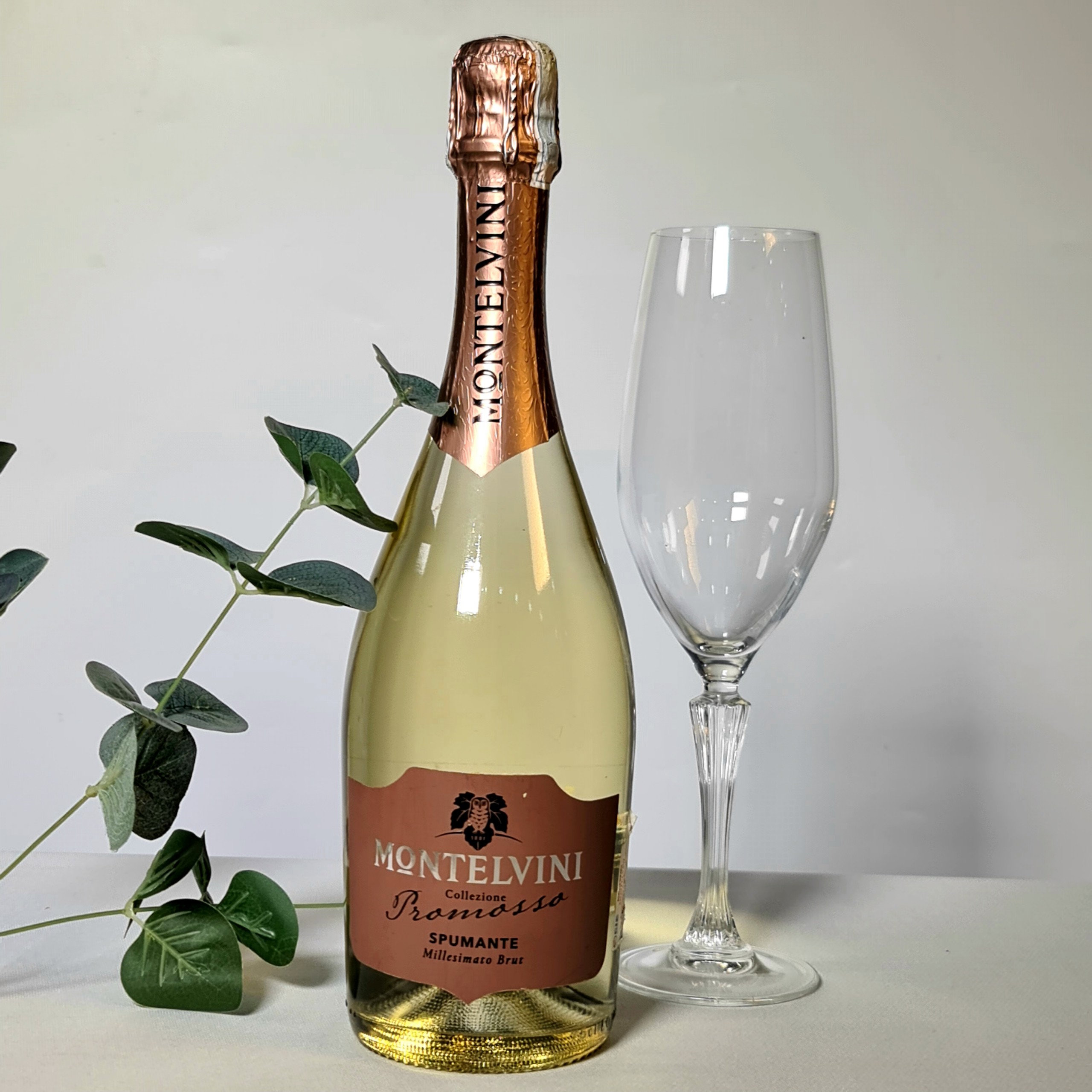 Vang Sparkling Italy MONTELNINI Promosso Spumante Brut11.5%