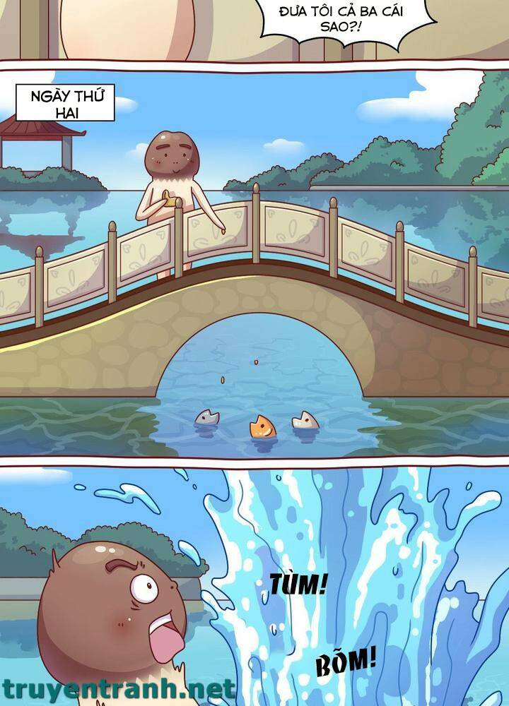 cây nấm kì khả chapter 11 6