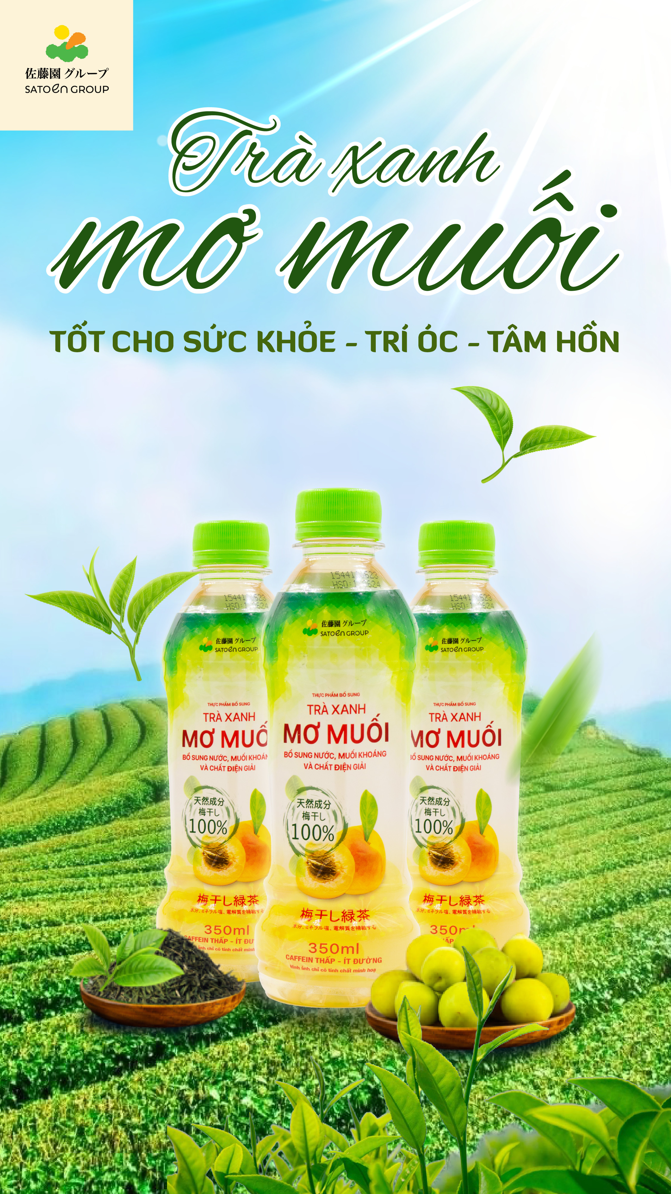 TRÀ XANH MƠ MUỐI SATOEN - 1 Thùng: 24 chai -
