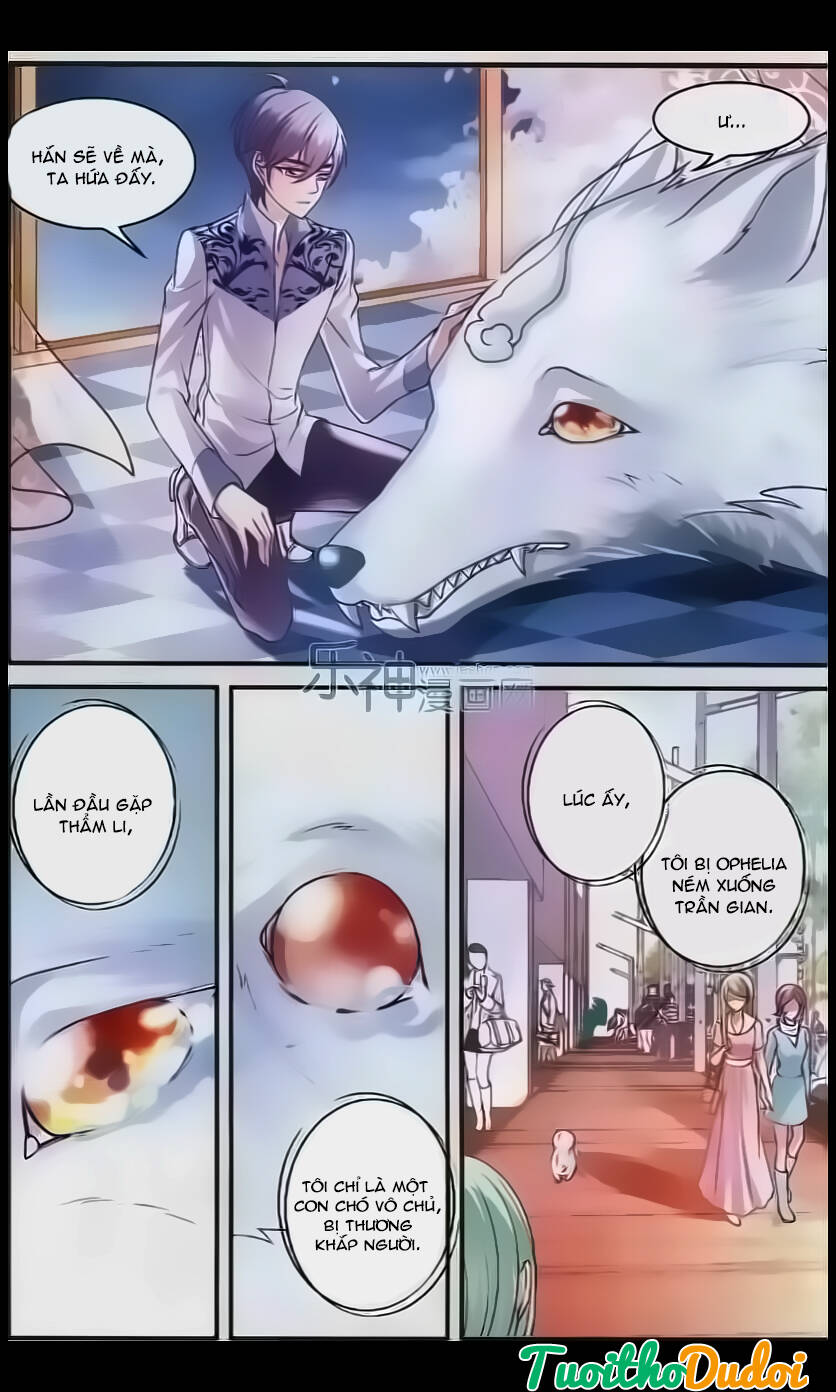 đoàn xiếc thú ánh trăng chapter 29 11