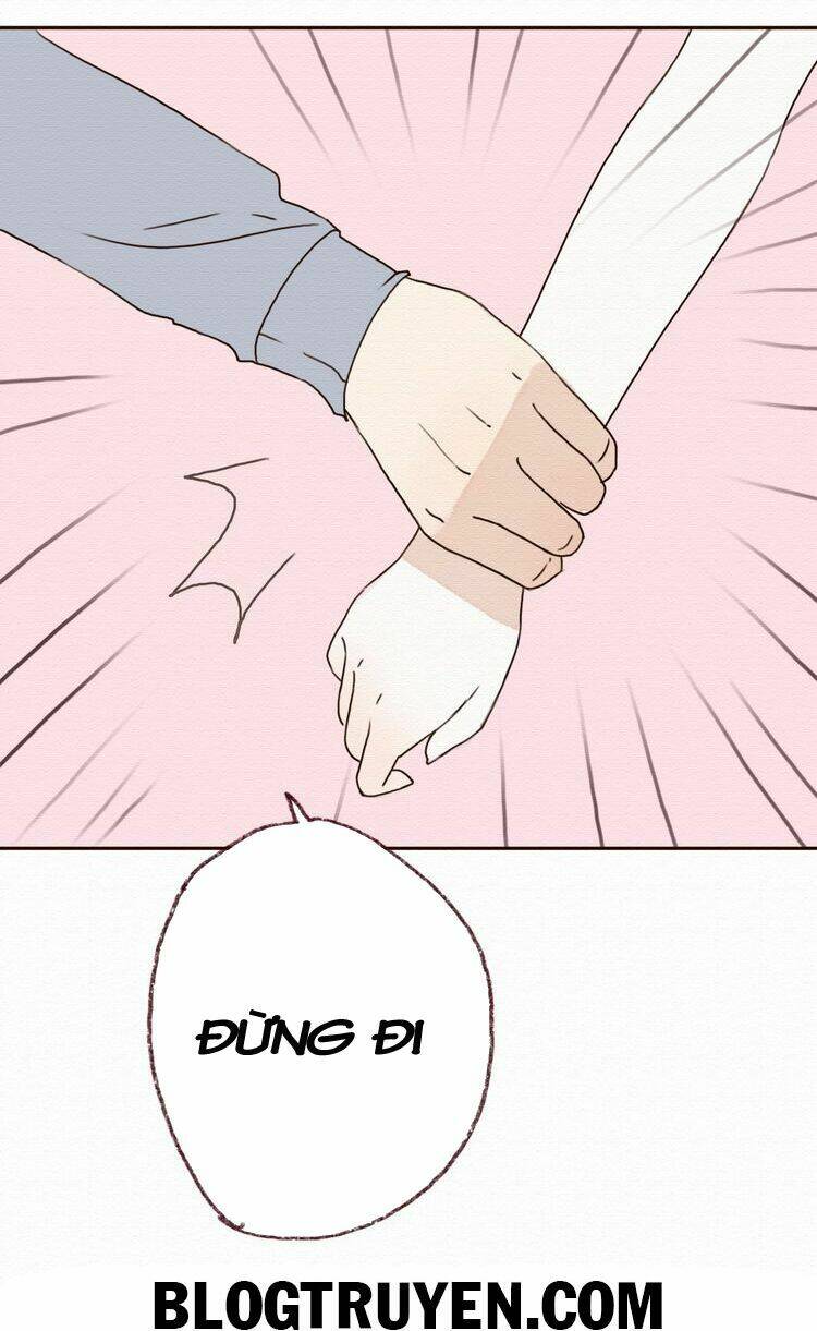 tình yêu không nói dối chapter 14 39