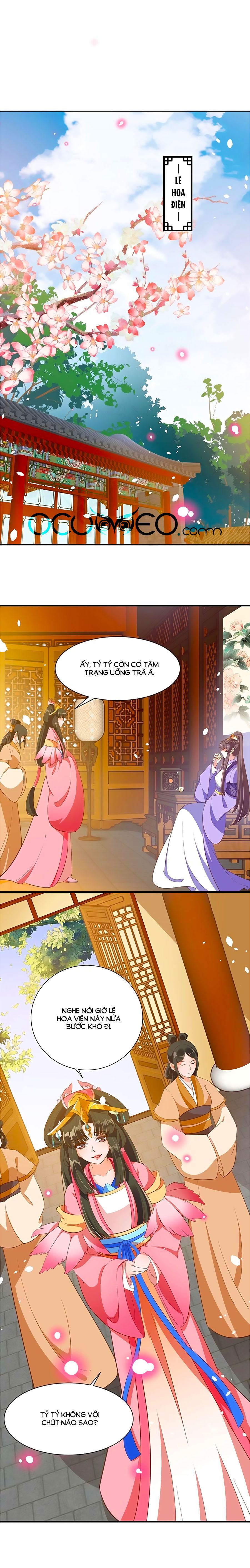thịnh thế lê hoa điện chapter 78 1