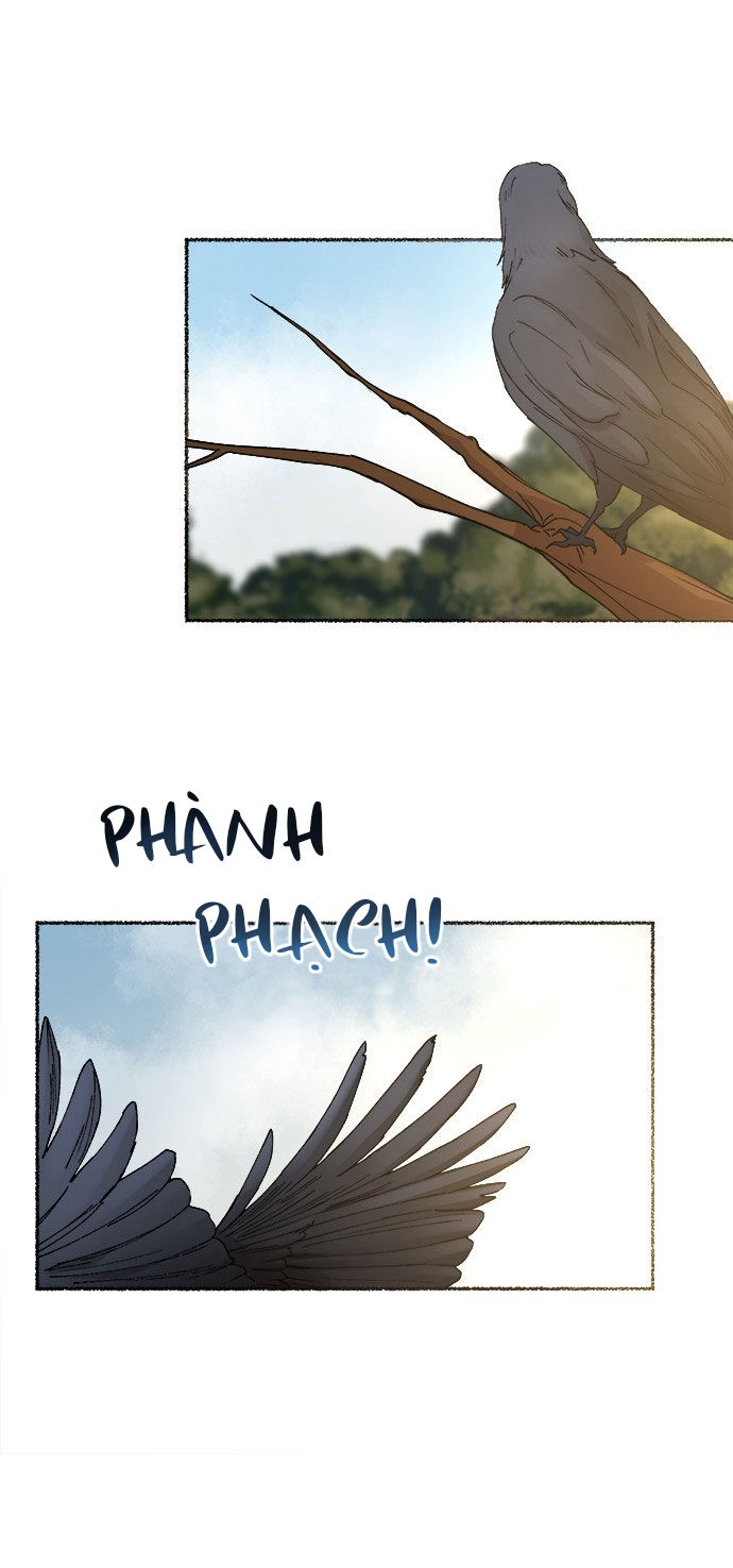 như gió trên cành cây khô chapter 52 27