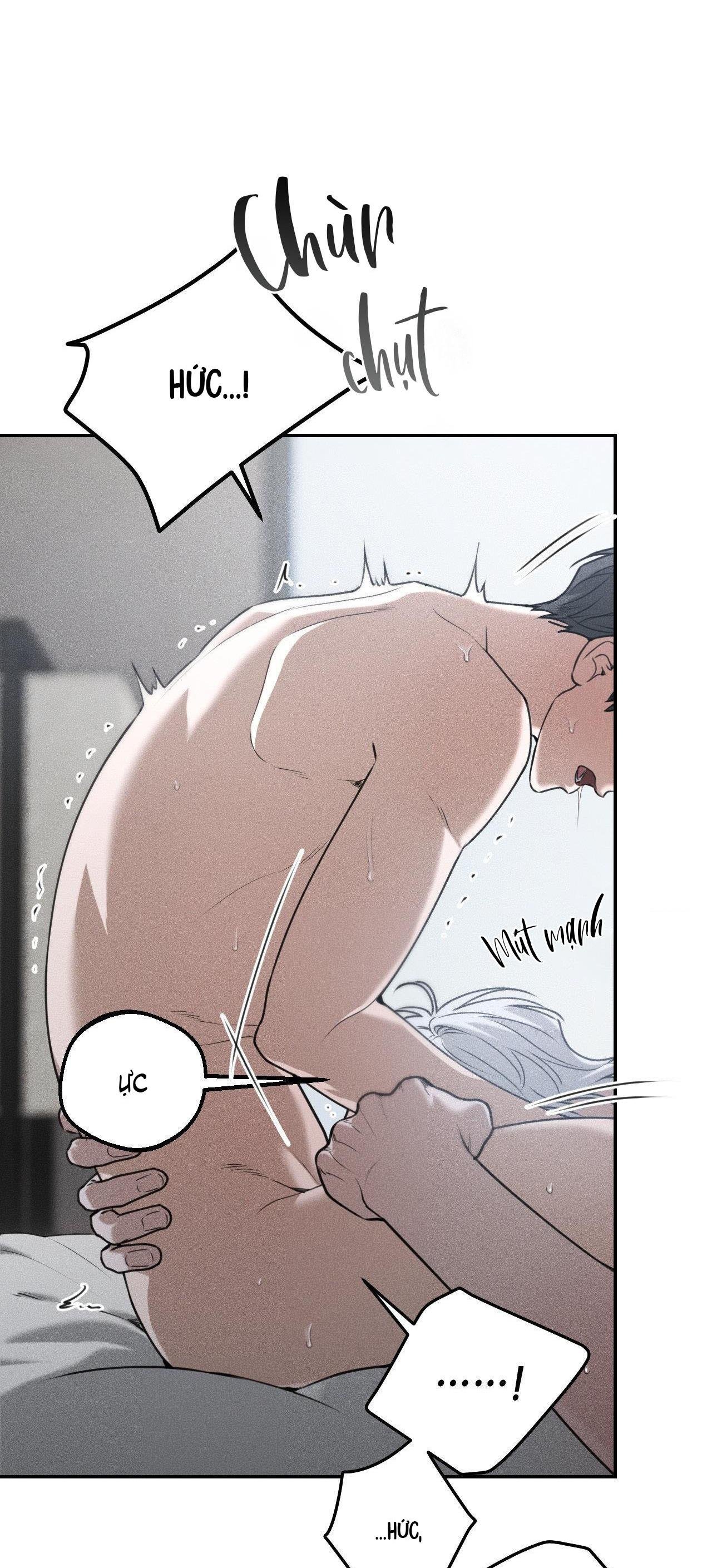 gấu teddy thân yêu chapter 29 13