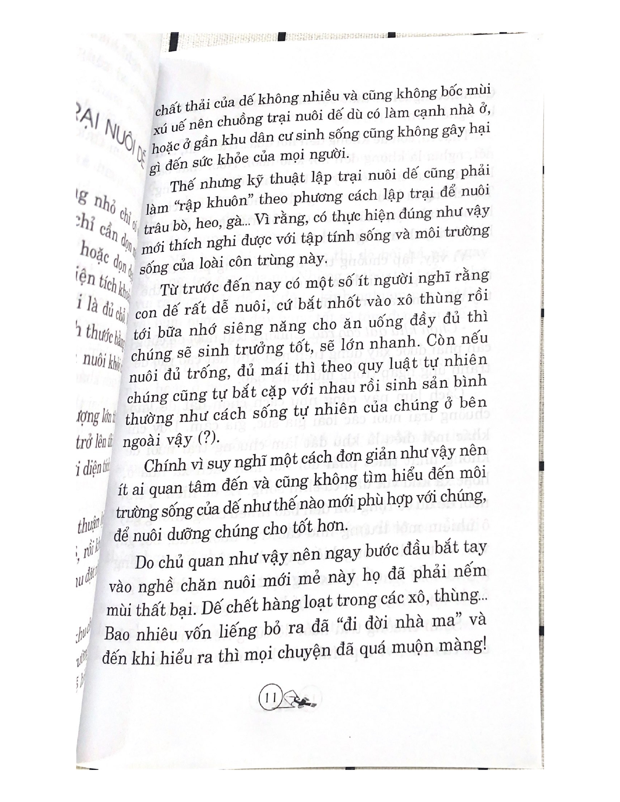 Phương Pháp Nuôi Dế