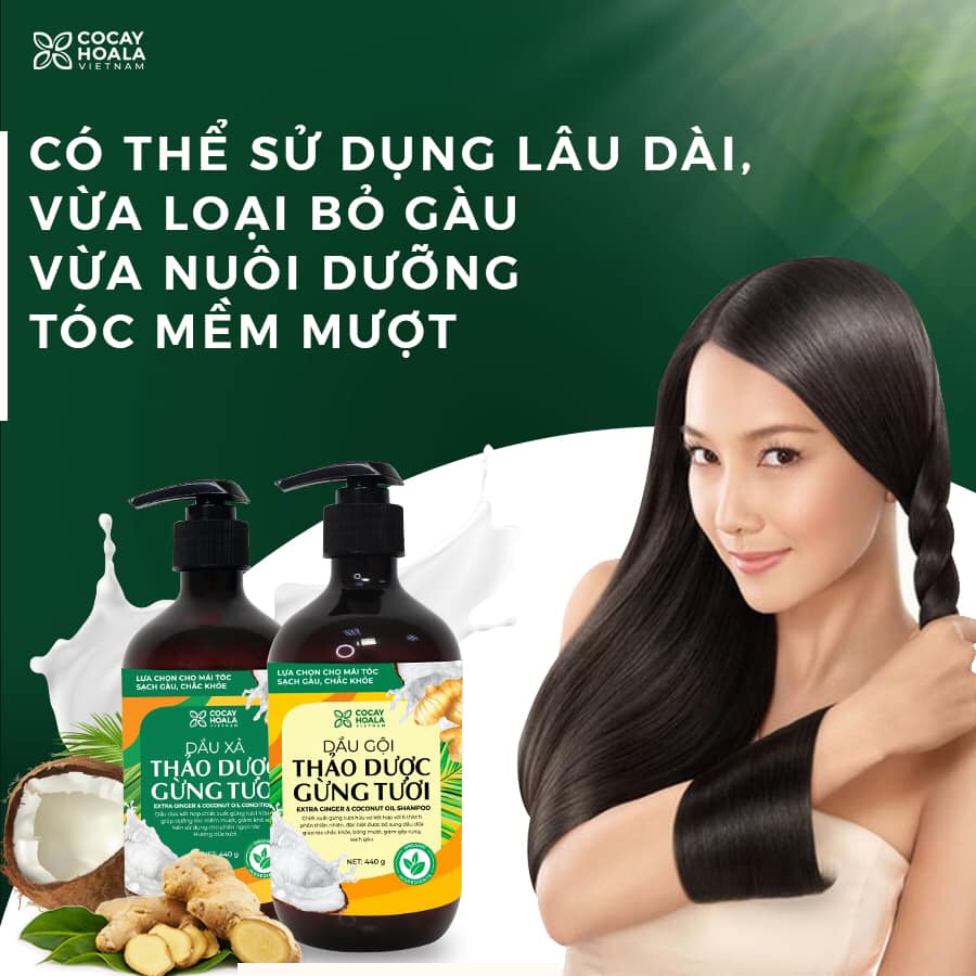 Combo 2 Dầu gội thảo dược gừng dừa Cocayhoala giảm rụng tóc, kích thích mọc tóc vượt trội, đặc biệt chăm sóc an toàn cho mẹ bầu mẹ sau sinh