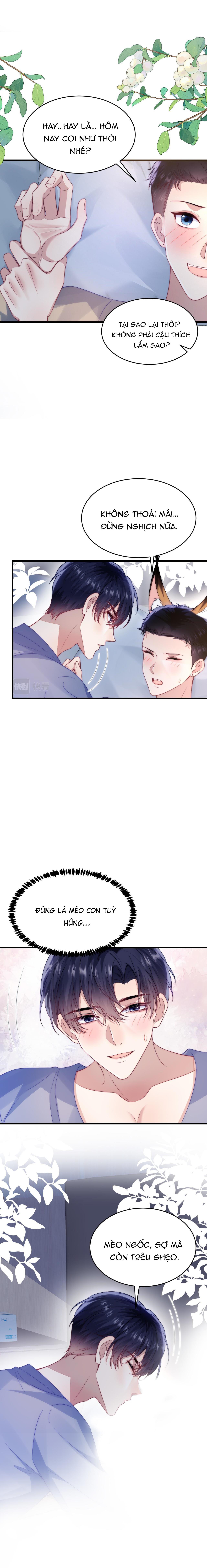 mèo hoang nhỏ của học bá quá chọc người rồi chapter 62 6