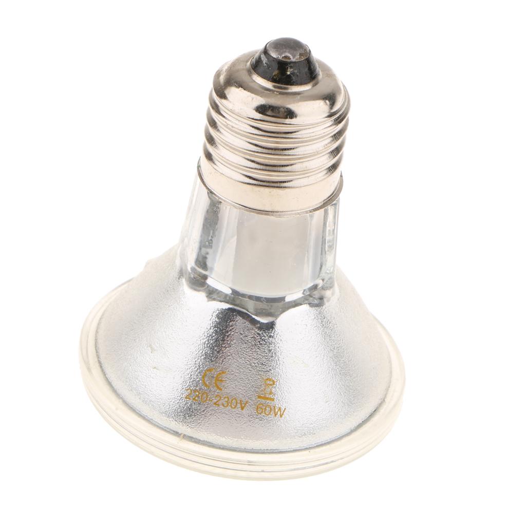 Đèn LED Sưởi Ấm Cho Bò Sát Với Chân E27