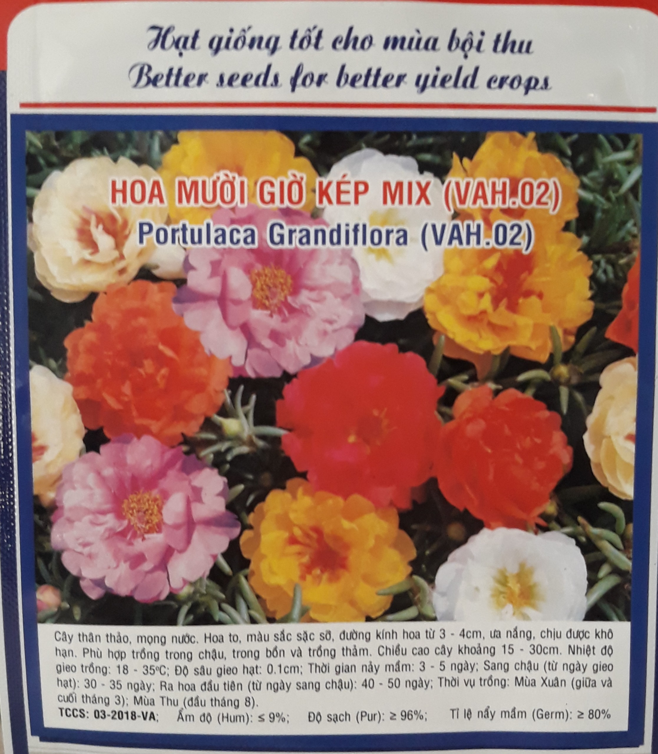 Hạt giống hoa mười giờ mix Hạt giống hoa chất lượng