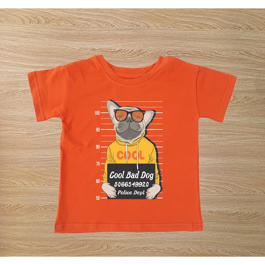 Áo thun trẻ em nam cotton 100% các màu : Mã 036