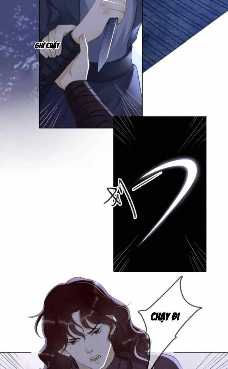 sủng phi của vương chapter 147 4