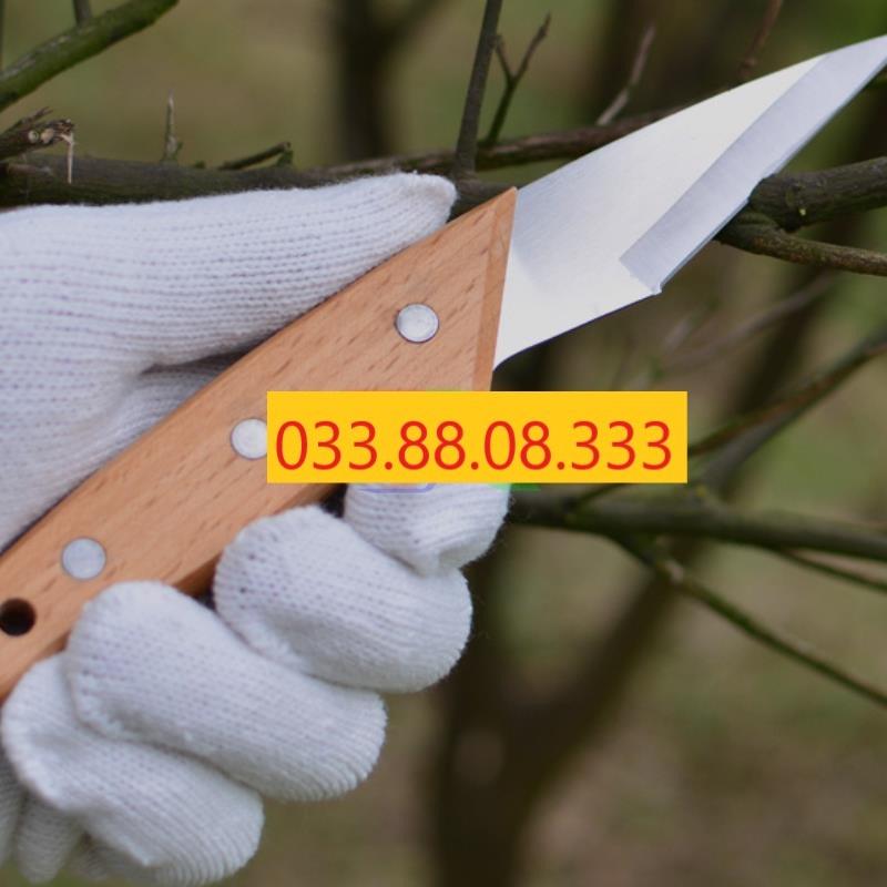 DAO GHÉP CÂY CÁN GỖ NHẬT BẢN - BỀN ĐẸP GIÁ RẺ