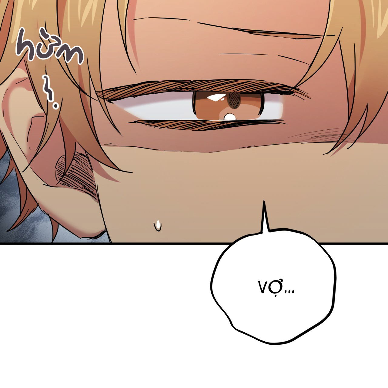 những chú thỏ của hapypy chapter 15 138