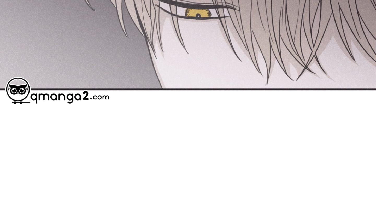 chiếu tướng chapter 75 206