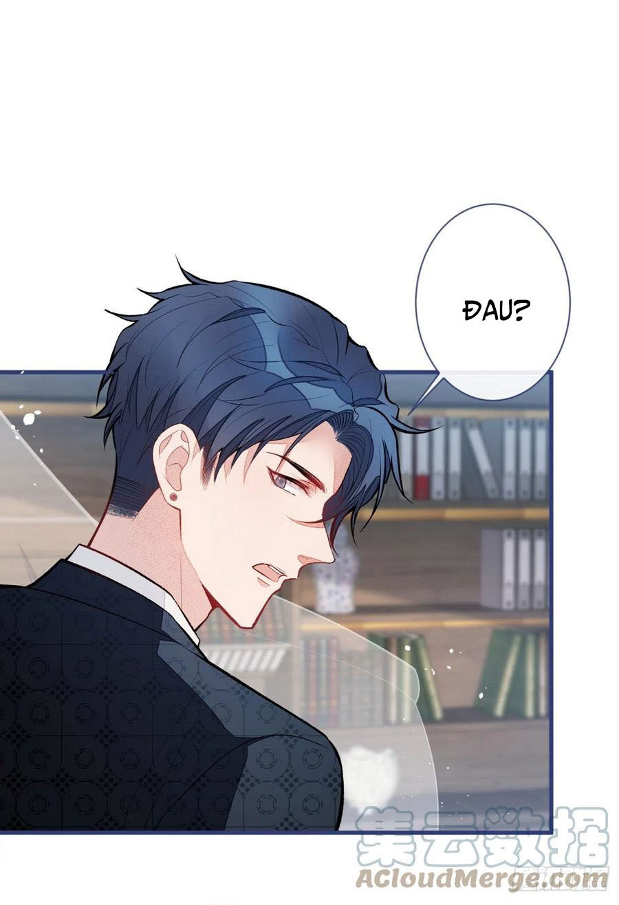 lại bị nam thần chọc trên hot search! chapter 81 38