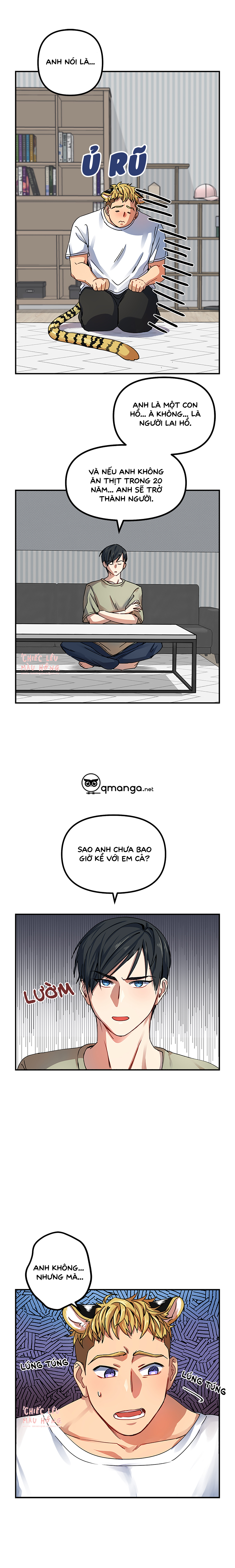 ngày cưới của ngài hổ chapter 1 6