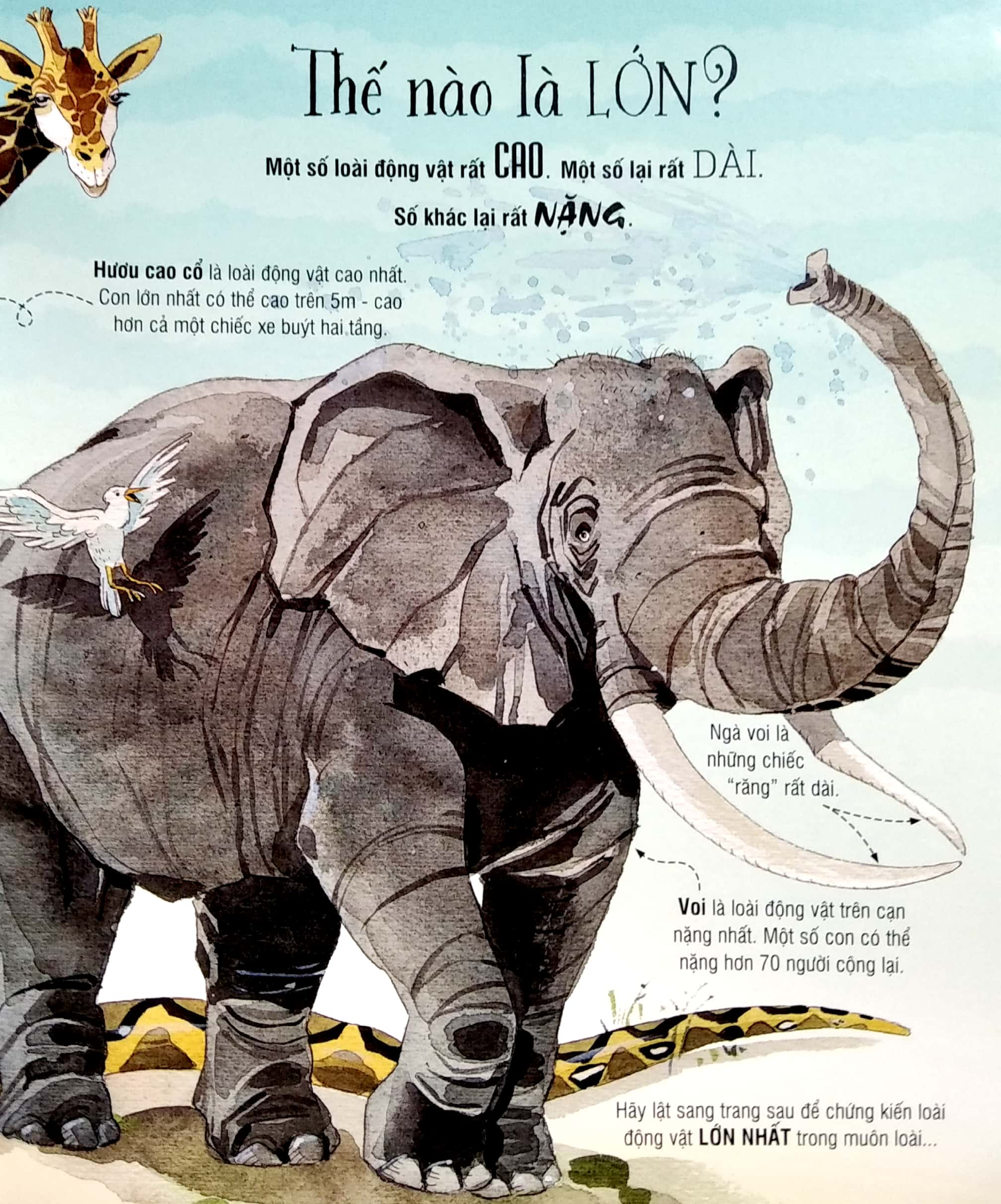 Cuốn sách khổng lồ về các loài động vật khổng lồ - Big Book of Big Animals (ĐT)