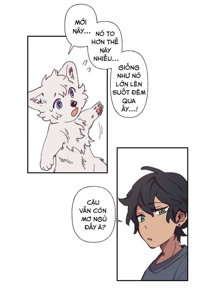 lumine - cội nguồn ánh sáng chapter 84 13