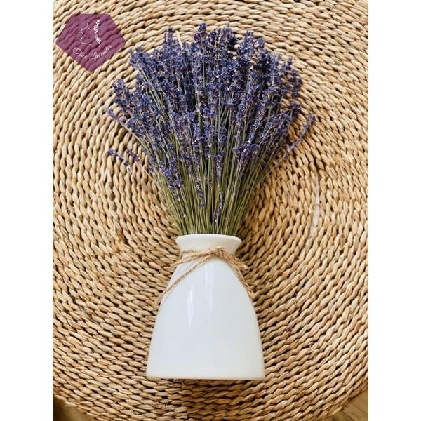 Hoa Oải Hương (Lavender)