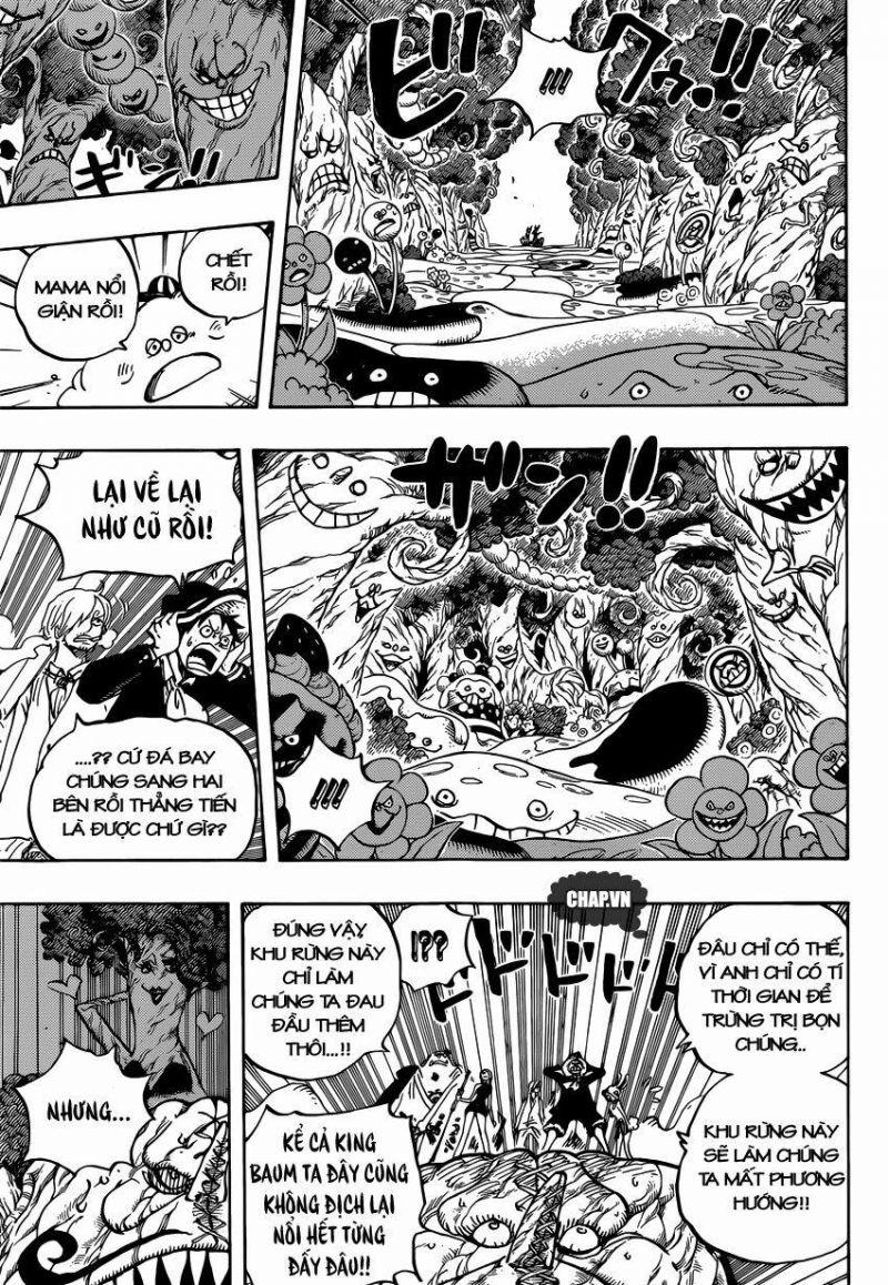 đảo hải tặc - one piece chapter 874 10