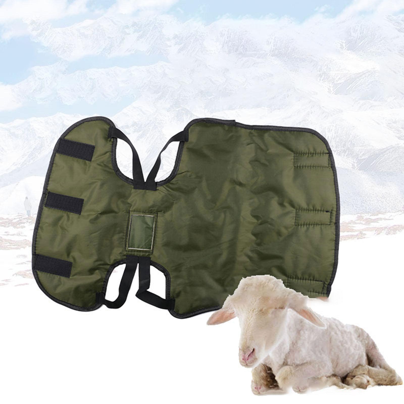 Cow Blanket Windproof Jacket Calf Warm Clothing for Pasture Livestock Sheep