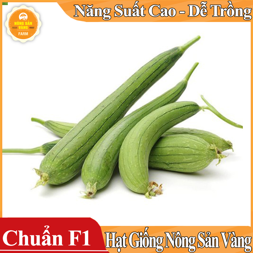 Hạt giống Mướp Hương - Nông Sản Vàng