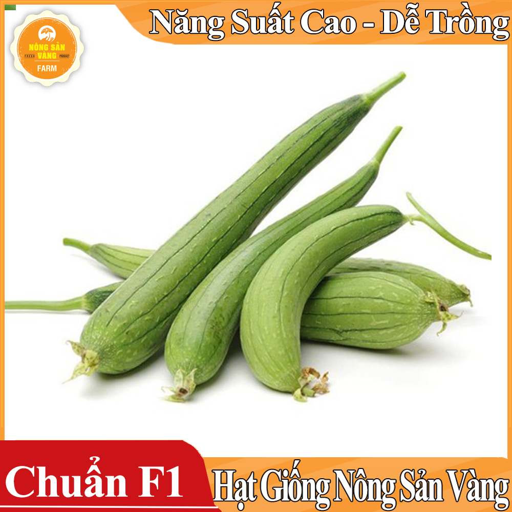 Hạt giống Mướp Hương ( Gói 15 hạt ) - Nông Sản Vàng