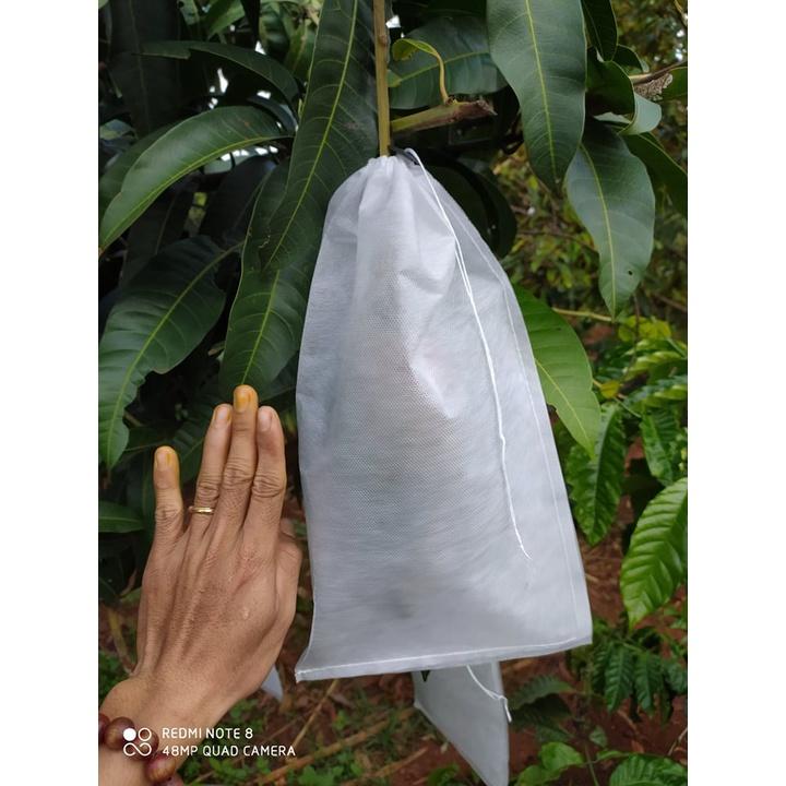 100 CÁI TÚI BAO,BỌC XOÀI ,NHO,CHÙM NHO, KHỔ QUA,BƠ 034...