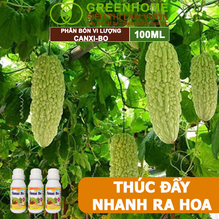 Phân Bón Vi Lượng Canxi Bo Greenhome, Chai 100ml, Kích Rễ, Chống Rụng Trái Non Trên Cây Trồng