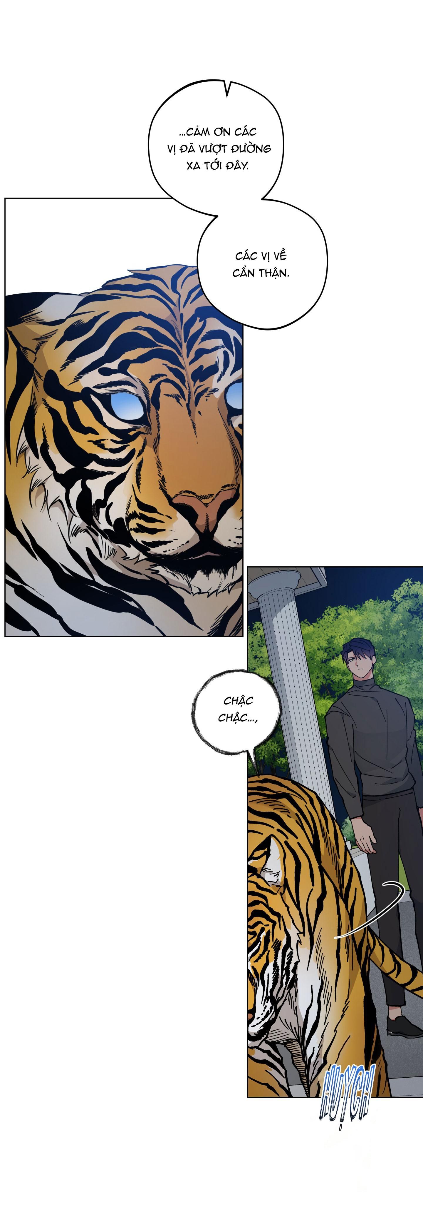 bình minh của rồng chapter 31 23