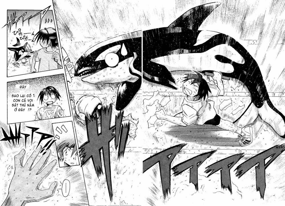 seto no hanayome chapter 17 35